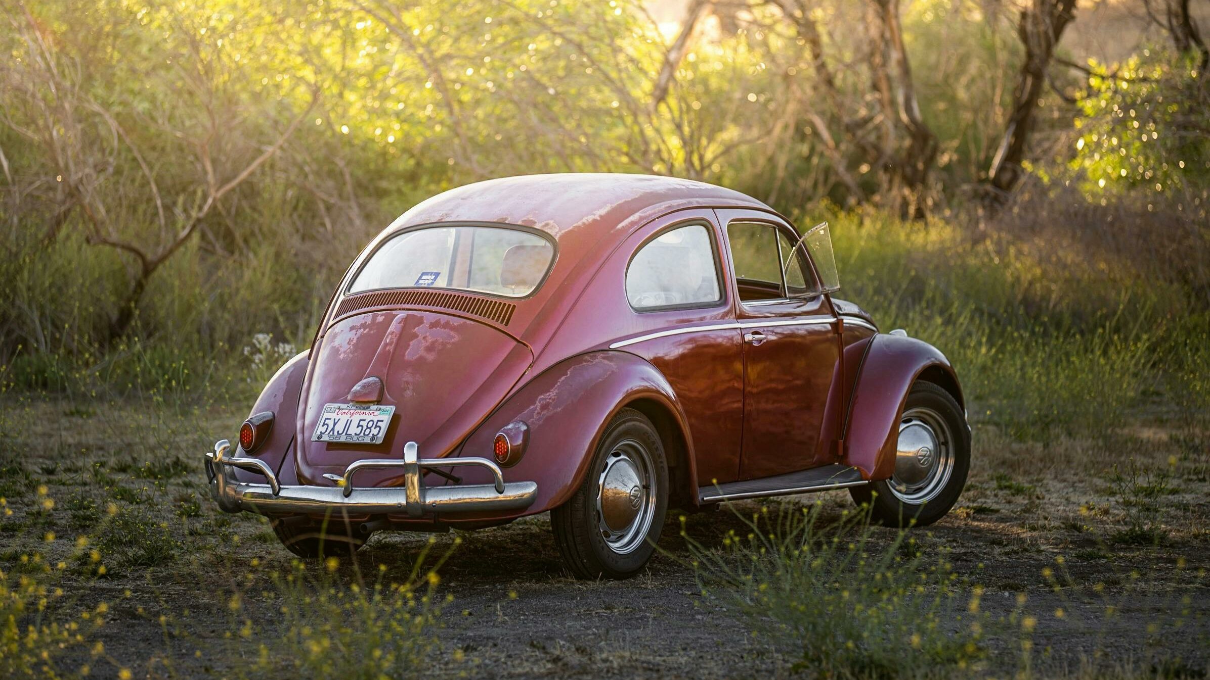 Volkswagen Coccinelle