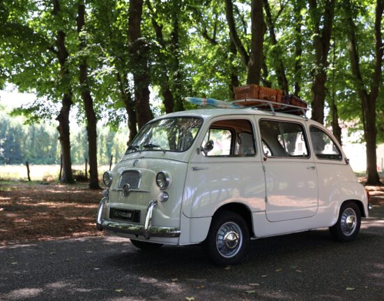 Fiat 600 Multipla