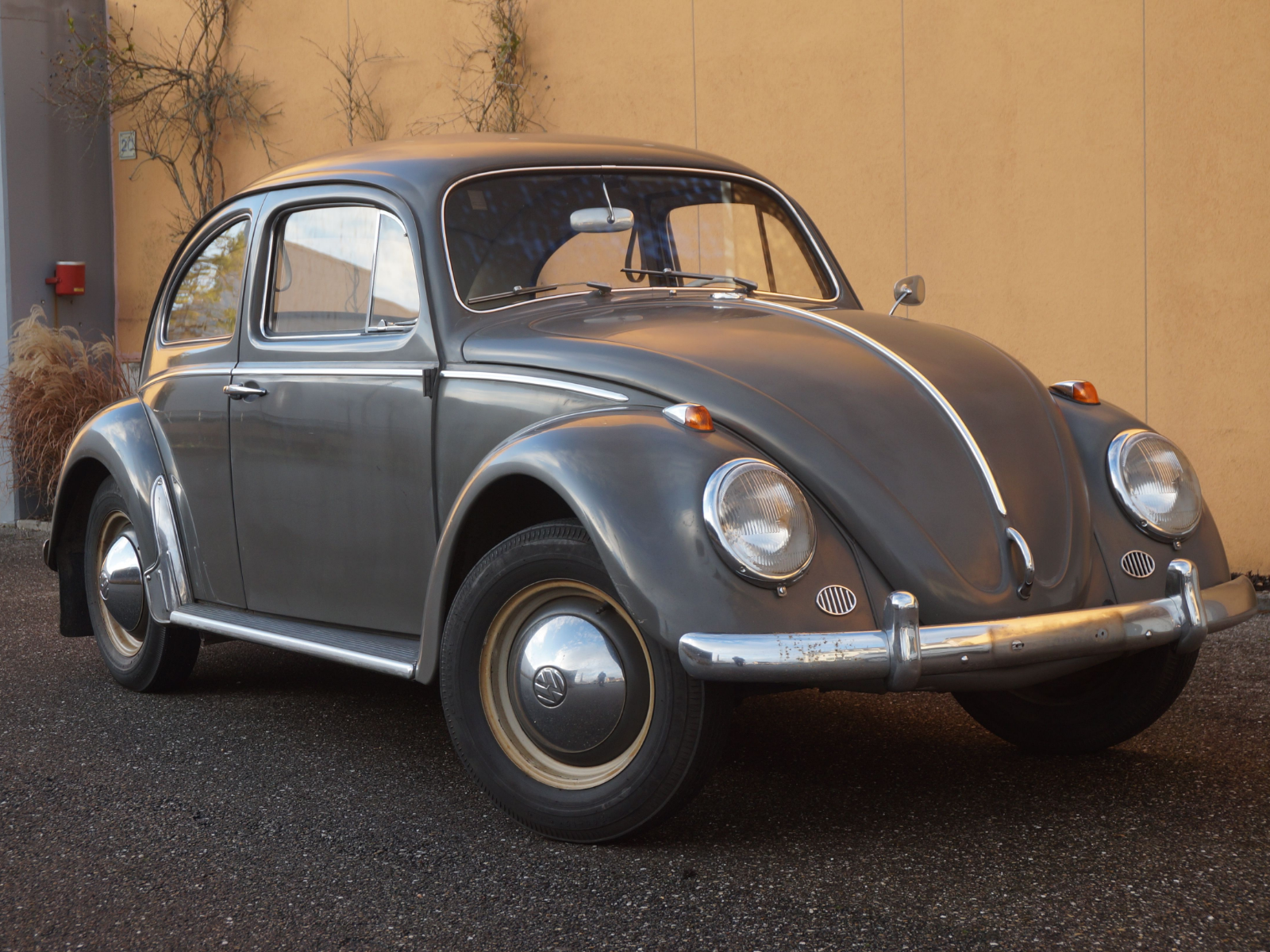 acheter voiture Volkswagen Beetle (Coccinelle)